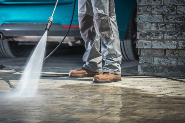 Best Pre-Holiday Cleaning  in North Vernon, IN